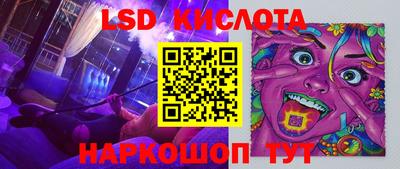 индика Камышлов