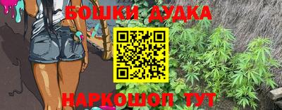 индика Камышлов