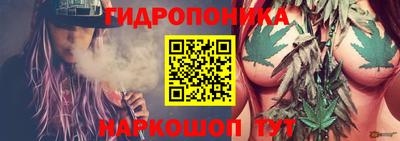 индика Камышлов