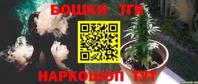 индика Камышлов