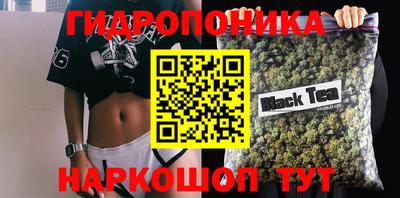 индика Камышлов