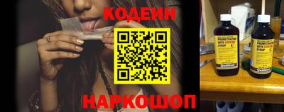 индика Камышлов
