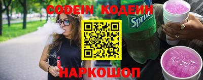 индика Камышлов