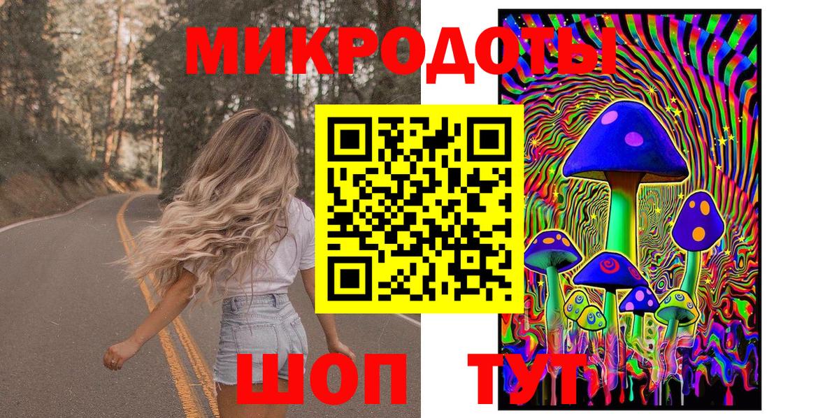 Галлюциногенные грибы Psilocybe Краснодар