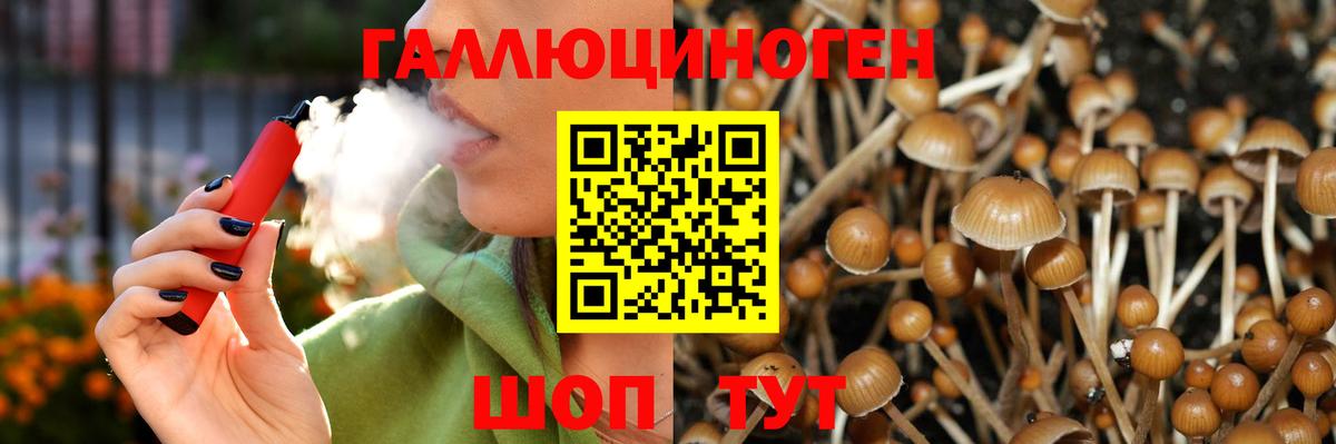 Галлюциногенные грибы Psilocybe  Вход с VPN  Краснодар 