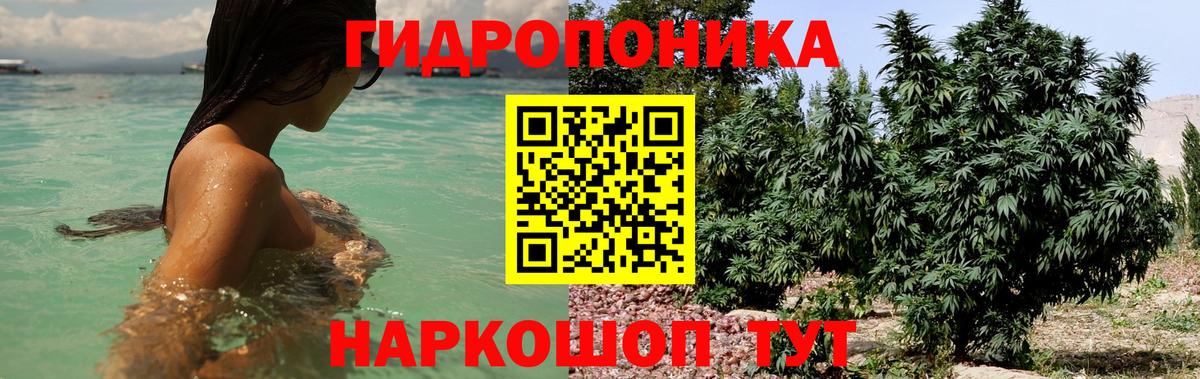 Конопля AK-47  Шишки марихуана White Widow  Краснодар  МАРИХУАНА ГИДРОПОН  Бошки марихуана OG Kush  Вход с VPN 